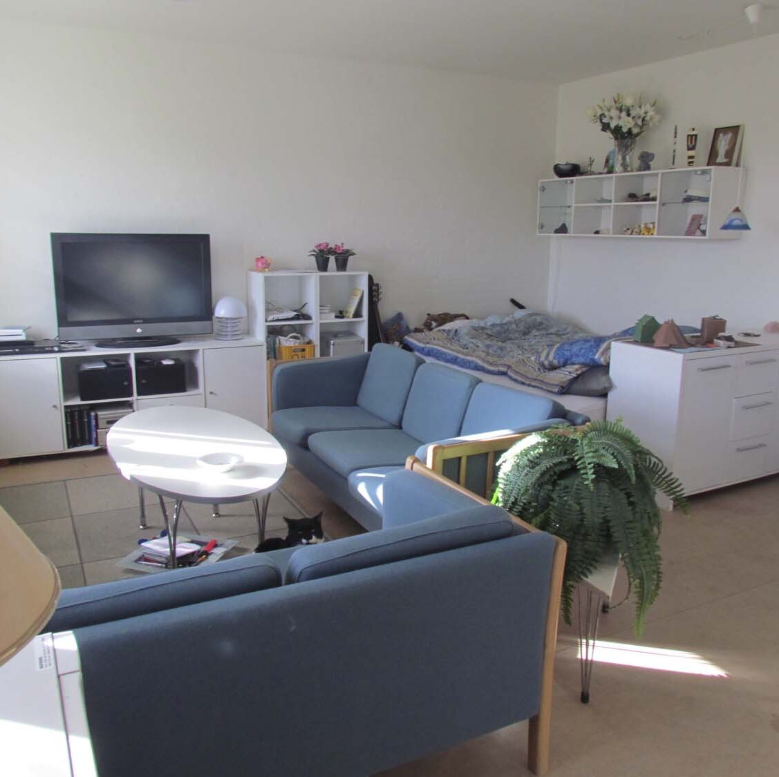 1 værelses lejlighed